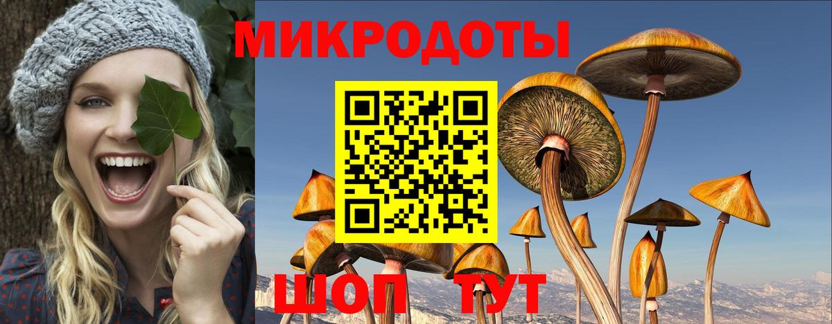 Галлюциногенные грибы GOLDEN TEACHER  Вход с VPN  Карасук 